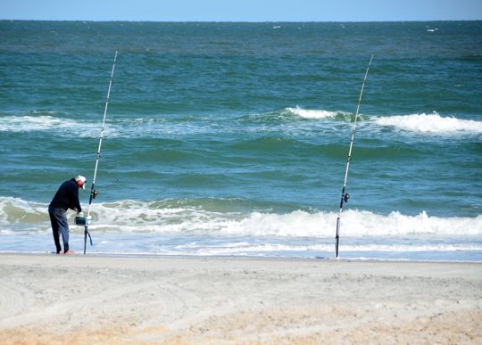 Surf Fishing